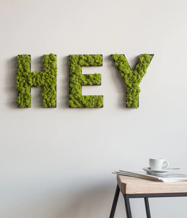 StyleGREEN Buchstaben Aus Islandmoos, Ca. H25 Cm 3 StyleGREEN Buchstaben Aus Islandmoos, Ca. H25 Cm – Bild 3