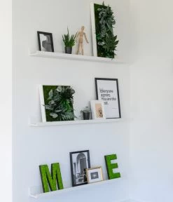 StyleGREEN Buchstaben Aus Islandmoos, Ca. H25 Cm 11 StyleGREEN Buchstaben Aus Islandmoos, Ca. H25 Cm -Gartenpflanzen Verkauf 6429435 WE MO 004 BuchstabenIslandmoosimRegal