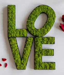 StyleGREEN Buchstaben Aus Islandmoos, Ca. H25 Cm 10 StyleGREEN Buchstaben Aus Islandmoos, Ca. H25 Cm -Gartenpflanzen Verkauf 6429435 WE MO 007 BuchstabenIslandmoosLove