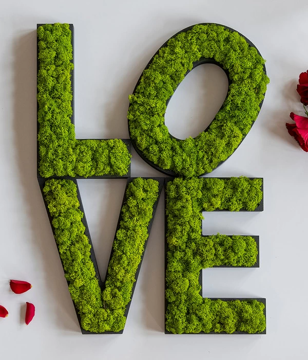 StyleGREEN Buchstaben Aus Islandmoos, Ca. H25 Cm 4 StyleGREEN Buchstaben Aus Islandmoos, Ca. H25 Cm – Bild 4