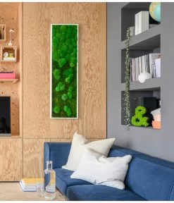 StyleGREEN Bild Aus Wald- Und Kugelmoos Im Verlauf, Ca. B140/H40/T7 Cm -Gartenpflanzen Verkauf 6429799 PR MO 002 Wald Kugelmoosbild140x40cm