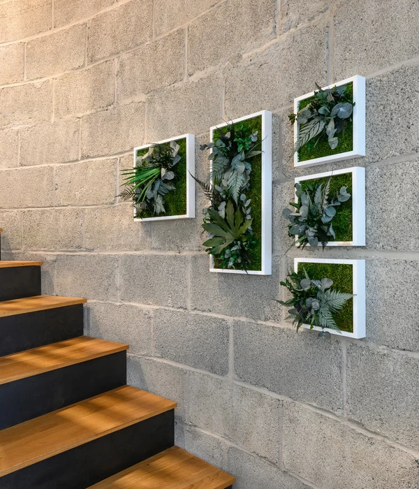 StyleGREEN Bild Im Dschungeldesign, Quadratisch, Ca. B35/H35/T16 Cm 3 StyleGREEN Bild Im Dschungeldesign, Quadratisch, Ca. B35/H35/T16 Cm – Bild 3