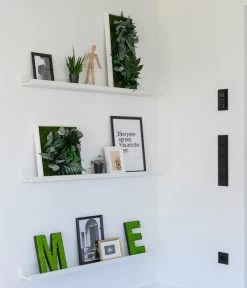 StyleGREEN Bild Im Dschungeldesign, Rechteckig, Ca. B57/H27/T16 Cm -Gartenpflanzen Verkauf 6429930 WE MO 002 Pflanzenbild57x27cmStylegreen