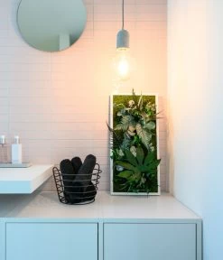 StyleGREEN Bild Im Dschungeldesign, Rechteckig, Ca. B57/H27/T16 Cm -Gartenpflanzen Verkauf 6429930 WE MO 003 Pflanzenbild57x27cmStylegreen