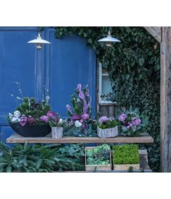 Grabgesteck Unvergessen, Oval, Ca. B60/H60/T25 Cm -Gartenpflanzen Verkauf 6462931 WE MO 001 SerieUnvergessenPremiumAllerheiligen2023