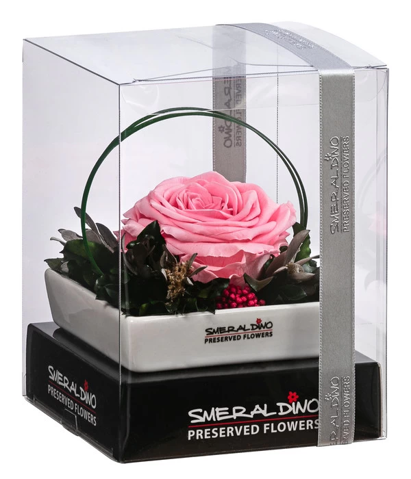 Dehner Keramik-Schale Mit Longlife-Rose Dita, Rosa, Ca. B10/H11/T10 Cm 2 Dehner Keramik-Schale Mit Longlife-Rose Dita, Rosa, Ca. B10/H11/T10 Cm – Bild 2