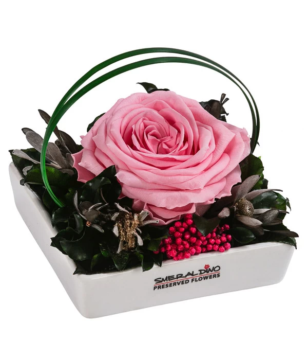 Dehner Keramik-Schale Mit Longlife-Rose Dita, Rosa, Ca. B10/H11/T10 Cm 1 Dehner Keramik-Schale Mit Longlife-Rose Dita, Rosa, Ca. B10/H11/T10 Cm