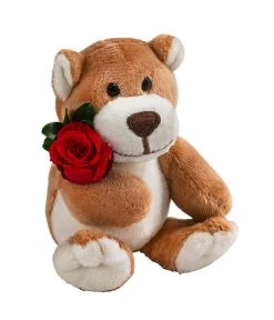 Dehner Kuschelbär Mit Longlife-Rose, Ca. B6/H10 Cm