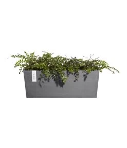 Ecopots Kunststoff-Kasten Bruges Hängend, Rechteckig, Grau, Ca. B55/H21/T20 Cm 9 Ecopots Kunststoff-Kasten Bruges Hängend, Rechteckig, Grau, Ca. B55/H21/T20 Cm -Gartenpflanzen Verkauf 6614416 WE FS 004 EcopotsKunststoffKastenBrugeshaengendrechteckiggrau