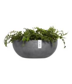 Ecopots Kunststoff-Schale Sofia Wall Mit Wassersystem, Oval, Grau, Ca. B43/H17,5/T25 Cm -Gartenpflanzen Verkauf 6614515 WE FS 003 EcopotsKunststoffSchaleSofiaWallmitWassersystemovalgrau