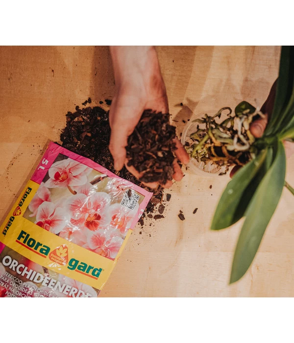 Floragard Orchideenerde, 3 X 5 L 2 Floragard Orchideenerde, 3 X 5 L – Bild 2