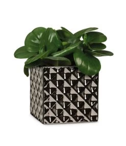 Scheurich Keramik-Übertopf Titanium, Quadratisch, Silber 7 Scheurich Keramik-Übertopf Titanium, Quadratisch, Silber -Gartenpflanzen Verkauf 6642060 WE FS 003 TopfTataniumSilber