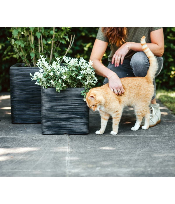 Capi Europe Kunststoff-Topf Rib, Quadratisch 2 Capi Europe Kunststoff-Topf Rib, Quadratisch – Bild 2