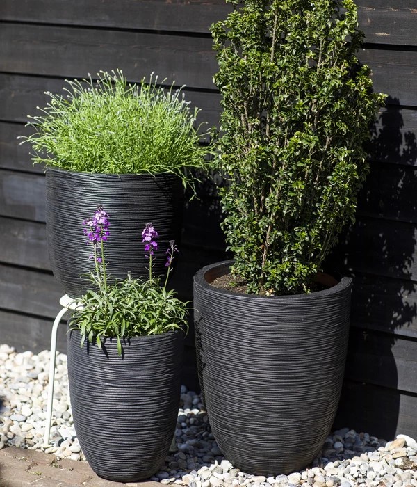 Capi Europe Kunststoff-Topf Rib Hoch, Rund 2 Capi Europe Kunststoff-Topf Rib Hoch, Rund – Bild 2