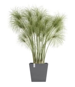 Ecopots Kunststoff-Topf Rotterdam Inkl. Wassersystem, Quadratisch