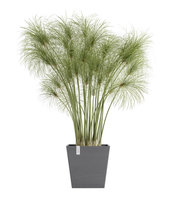 Ecopots Kunststoff-Topf Rotterdam Inkl. Wassersystem, Quadratisch 1 Ecopots Kunststoff-Topf Rotterdam Inkl. Wassersystem, Quadratisch