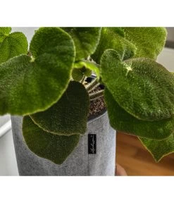 LECHUZA® TRENDCOVER Felt, All-in-One Set 8 LECHUZA® TRENDCOVER Felt, All-in-One Set -Gartenpflanzen Verkauf 6946941 6947121 WE MO 002 TrendcoverFelthellgrau