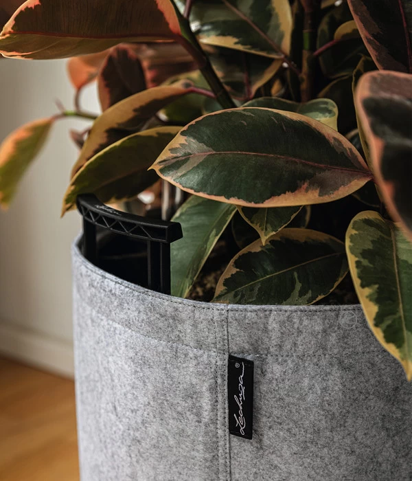 LECHUZA® TRENDCOVER Felt, All-in-One Set 5 LECHUZA® TRENDCOVER Felt, All-in-One Set – Bild 5