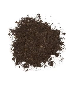 Floragard Aktiv Grünpflanzen- Und Palmenerde, 56 X 20 L -Gartenpflanzen Verkauf 6955793 WE DE 002 FloragardAktivGruenpflanzenundPalmenerde56x20l