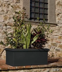 Farmet New Kunststoff-Kasten, Rechteckig, Inkl. Untersetzer -Gartenpflanzen Verkauf 6964936 WE MO 001 FarmetNewKunststoffKastenrechteckig