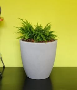 Farmet New Kunststoff-Kübel Orione Alto, Rund, Inkl. Untersetzer 6 Farmet New Kunststoff-Kübel Orione Alto, Rund, Inkl. Untersetzer -Gartenpflanzen Verkauf 6965396 WE MO 001 FarmetNewKunststoffKuebelOrioneAltorund