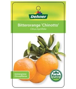 Bitterorange 'Chinotto' -Gartenpflanzen Verkauf 7119803 BitterorangeChinottoEtikett1