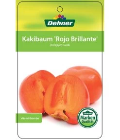 Dehner Kaki 'Rojo Brillante' - Kaki-Pflaume 'Rojo Brillante' 12 Dehner Kaki 'Rojo Brillante' - Kaki-Pflaume 'Rojo Brillante' -Gartenpflanzen Verkauf 7167414 KakiRojoBrillante Etikett 01