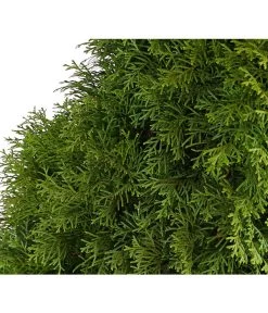 16 Meter Lebensbaum 'Smaragd', 40 X Ca. 125-150 Cm -Gartenpflanzen Verkauf 7513534 WE DE 001 ThujaLebensbaumOccidentalisSmaragd20LDehnerExpressHerzig