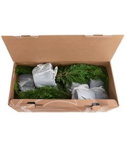 1 Meter Lebensbaum 'Smaragd', 4 X Ca. 60-70 Cm 5 1 Meter Lebensbaum 'Smaragd', 4 X Ca. 60-70 Cm -Gartenpflanzen Verkauf 7515711 PR FS 002 ThujaSmaragd1MeterDehnerExpressHerzig