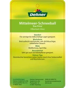 Mittelmeer-Schneeball, Stämmchen -Gartenpflanzen Verkauf 7539406 Mittelmeer SchneeballEvePrice Etikett 2