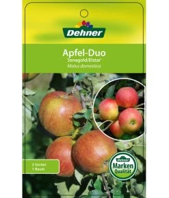 Apfel-Duo 'Jonagold'/'Elstar' 8 Apfel-Duo 'Jonagold'/'Elstar' -Gartenpflanzen Verkauf 7639248 Apfel DuoJonagoldElstar Etikett 1