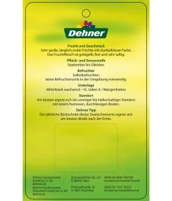 Zwetschge 'Haganta' -Gartenpflanzen Verkauf 7662257 ZwetscheHaganta Etikett 2