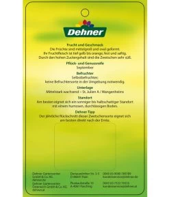 Zwetschge 'Haroma' -Gartenpflanzen Verkauf 7662703 ZwetscheHaroma Etikett 2