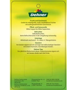 Zwetschge 'Jojo' -Gartenpflanzen Verkauf 7692635 ZwetscheJojo Etikett 2