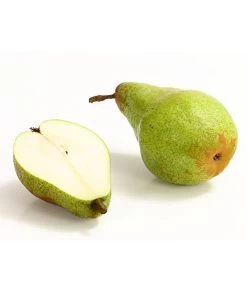 Winterbirne 'Novembra' -Gartenpflanzen Verkauf 7723695 WE DE 004 BirneNovemberDehnerExpressHerzig