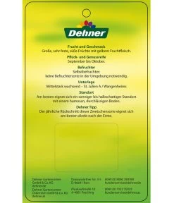 Zwetschge 'Presenta' 7 Zwetschge 'Presenta' -Gartenpflanzen Verkauf 7729460 ZwetschePresenta Etikett 2