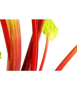 Dehner Gourmet Garten Himbeer-Rhabarber 6 Dehner Gourmet Garten Himbeer-Rhabarber -Gartenpflanzen Verkauf 7736028 PR DE 002 RhabarberHimbeere2LiterDehnerExpressHerzig