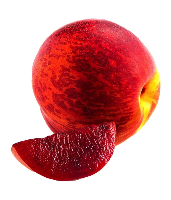 Blutnektarine 2 Blutnektarine – Bild 2