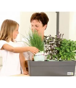 GREENBAR® Naschtomate 5 GREENBAR® Naschtomate -Gartenpflanzen Verkauf 7750482 WE MO 009 GreenbarAnleitungIndoor