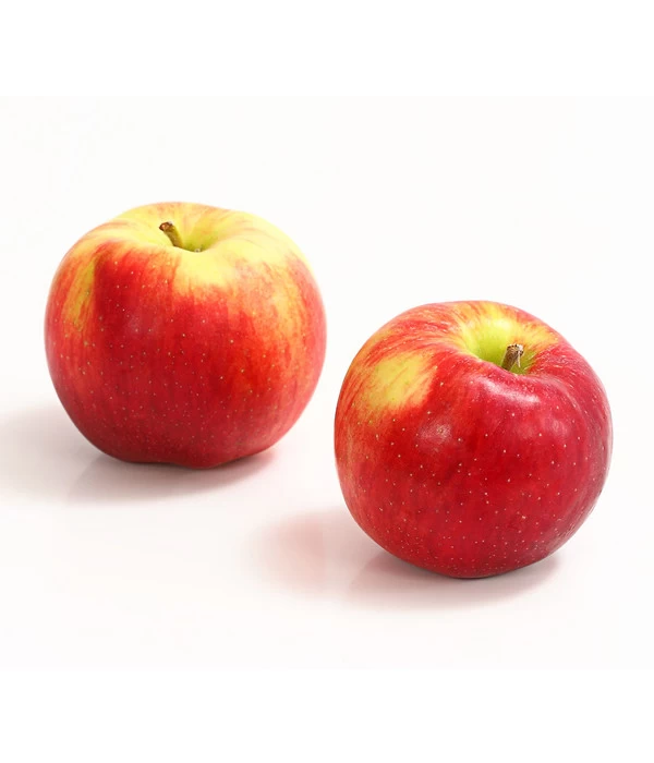 Allergikerapfel 'Santana' 1 Allergikerapfel 'Santana'