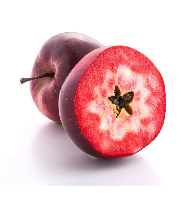 Apfel 'Vampira' 1 Apfel 'Vampira'