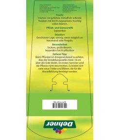 Tafeltraube 'Katharina' -Gartenpflanzen Verkauf 7773716 TafeltraubeKatharina Etikett 2