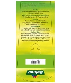 Tafeltraube 'Vanessa' 7 Tafeltraube 'Vanessa' -Gartenpflanzen Verkauf 7773732 TafeltraubeVanessa Etikett2