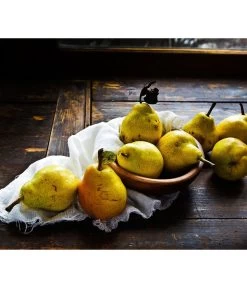 Sommerbirne 'Williams Christ' -Gartenpflanzen Verkauf 7780539 WE MO 001 PyrusBirneWilliamsChrist