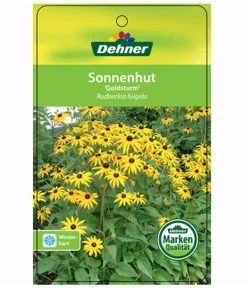 Sonnenhut 'Goldsturm' 8 Sonnenhut 'Goldsturm' -Gartenpflanzen Verkauf 8010043 RudbeckiaGoldsturmEtikett1