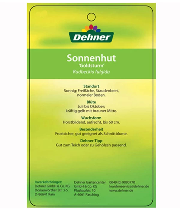 Sonnenhut 'Goldsturm' 5 Sonnenhut 'Goldsturm' – Bild 5
