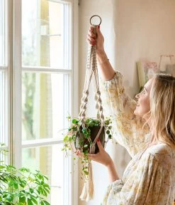 Peperomie - Peperomia 'Pepperspot' -Gartenpflanzen Verkauf 8252173 WE MO 001 PeperomiePepperspotMakrameeAmpel