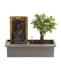 Bonsai, Mit Brunnen