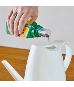 Seramis Vitalnahrung Für Kakteen & Sukkulenten, 200 Ml -Gartenpflanzen Verkauf 8475881 WE MO 001 SeramisKakteenSukkulentenDuenger200ml