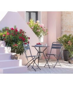 XXL Oleander, Verschiedene Sorten, Ca. 130-150 Cm 8 XXL Oleander, Verschiedene Sorten, Ca. 130-150 Cm -Gartenpflanzen Verkauf 8596900 WE MO 001 Oleander